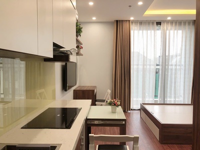 Cho thuê căn studio 28m2, full đồ tại chung cư vinhomes greenbay, mễ trì, hà nội 4