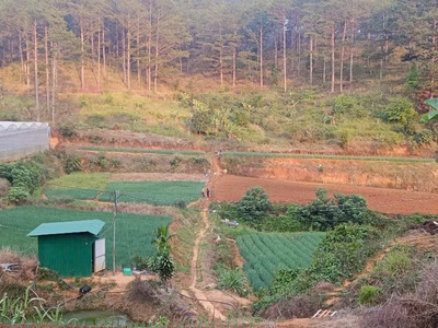 Chính chủ gửi bán lô đất đẹp 2100m  - giá chỉ 2 tỷ  tl nhẹ 2