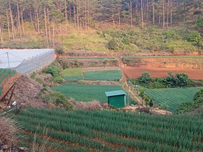 Chính chủ gửi bán lô đất đẹp 2100m  - giá chỉ 2 tỷ  tl nhẹ 1