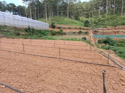 Chính chủ gửi bán lô đất đẹp 2100m  - giá chỉ 2 tỷ  tl nhẹ 0