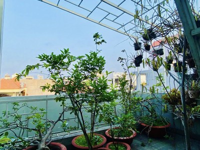 Sát mặt tiền gò dầu   nhà 3 tầng đẹp không tìm ra căn 2   65m    nhỉnh 7 3