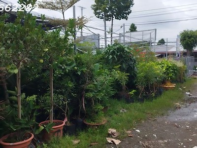 Bán đất thổ cư mặt tiền tỉnh lộ 848, tân quy đông, sa đéc. 320m2, sổ hồng 2