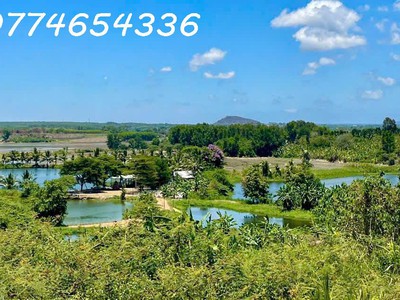 Cơ hội sở hữu lô đất nghỉ dưỡng chuẩn xanh tại long tân, đất đỏ - bà rịa vũng tàu 1