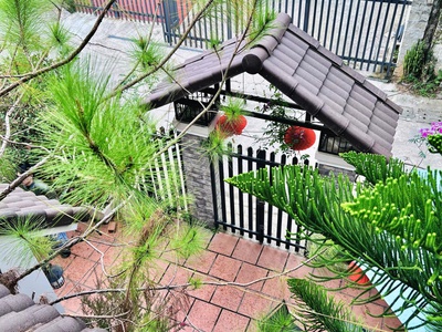 Sang nhượng villa tâm huyết nguyễn đình chiểu, đà lạt - 5pn, sân vườn bbq, hẻm ô tô 1