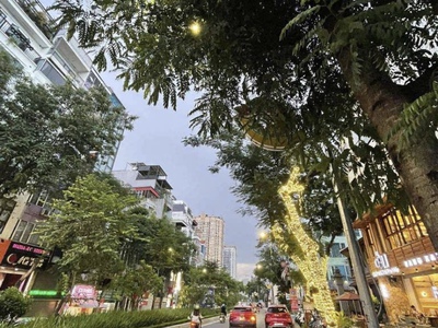 Lạc long quân ngõ thông kinh doanh dân xây 50/55m giá 8 tỷ 699 0