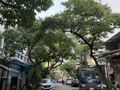 Cực Hiếm Đất Mặt Phố Cạnh Hồ Hale Mặt Tiền 7M 105 Tỷ 1 Sổ 1 Chủ 0
