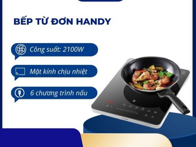 Bếp từ đơn Handy 0