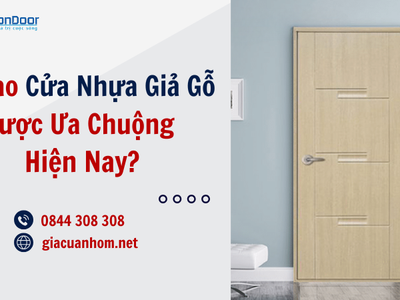 Vì Sao Cửa Nhựa Giả Gỗ Được Ưa Chuộng Hiện Nay 2