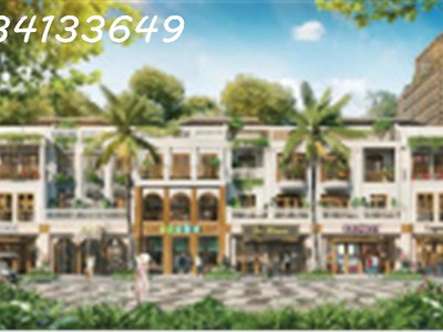 Giỏ hàng suất ngoại giao đặc biệt, ck 17: townhouse, biệt thự biển, sở hữu lâu dài 2