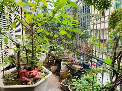 Bán nhà phân lô lạc trung, hai bà trưng - 80m  x 4t - mt 7m - ô tô tránh - kinh doanh 4