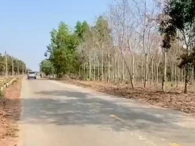 Bán đất 2 mt tân thành 43 - bắc tân uyên  btu  tp. hcm - gần kcn: btu 1, 2, 3, tân lập, tam lập 0