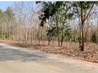 Bán đất 2 mt tân thành 43 - bắc tân uyên  btu  tp. hcm - gần kcn: btu 1, 2, 3, tân lập, tam lập 3