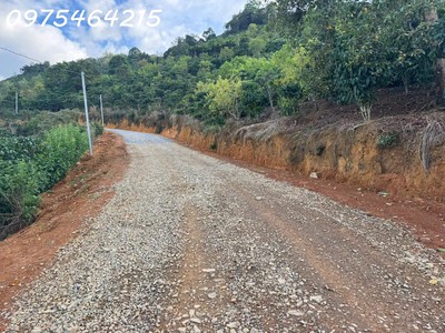 Chính chủ bán đất mặt đường hàm nghi diện tích 4.230 mét vuông đường nhà nước làm thảm nhựa mặt 0