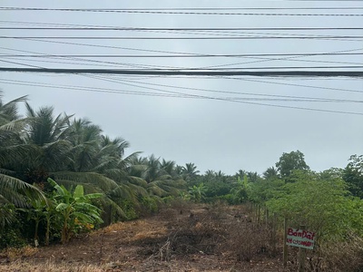Chính chủ cần bán lô đất 470m2 có vi trí đẹp tại xã tân mỹ chánh - tp.mỹ tho - tiền giang.lh: 0
