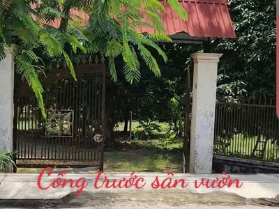 Đất 2 mặt tiền đường nguyễn thị lèn, xã trung an  nay là xã bình mỹ  huyện củ chi 0
