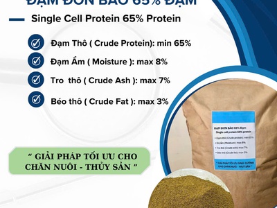 Đạm đơn bào 65 đạm ưegsf 0