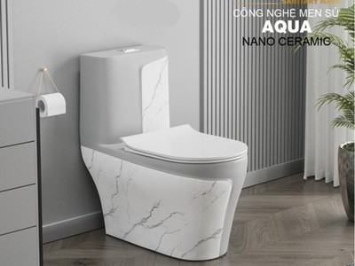 Bồn Cầu 1 Khối Trắng Xám CODOR BC1C109 0