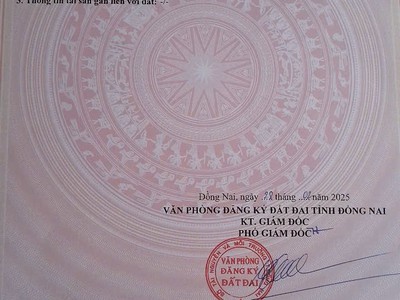 Kẹt tiền cần bán đất phú lý vĩnh cửu có thổ cư 1
