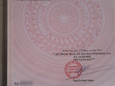 Kẹt tiền cần bán đất phú lý vĩnh cửu có thổ cư 2
