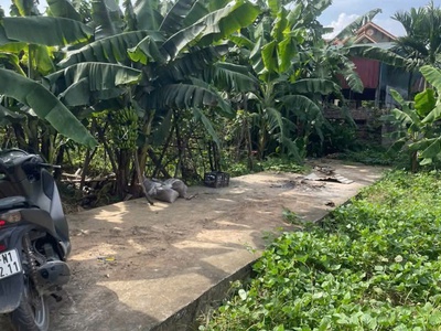 Đất đội 7 tự nhiên-thường tín-oto đỗ cửa 1