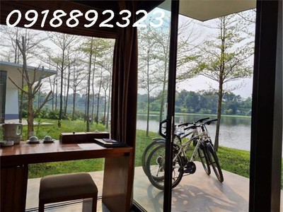 Tại sao nên đầu tư hòa bình ngay lúc này 1