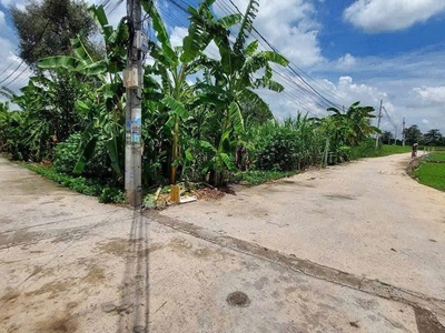 Hàng thơm bình mỹ   1.000m  full thổ cư   đường xe hơi   giá chỉ 10 tỷ‼ 1