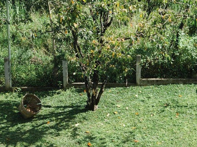 Cần bán lô đất ngang 30m, diện tích 2000m2 có 550m2 thổ cư đức trọng 2