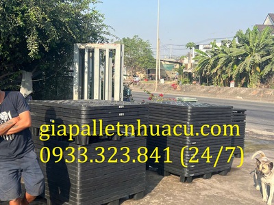 Thanh lý pallet nhựa chân cốc giá tốtttttt 0