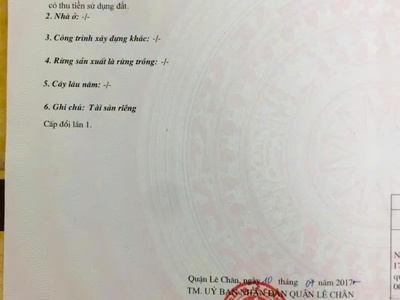  HÀNG NÓNG   BÁN ĐẤT TẶNG NHÀ Mặt Đường Thiên Lôi 2