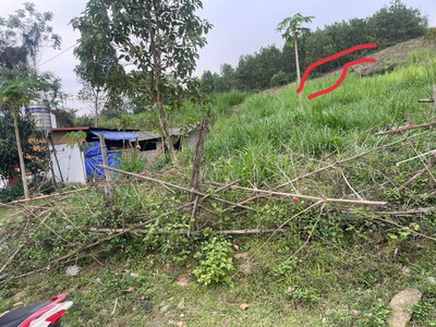 Đất đẹp - giá tốt - chính chủ bán đất tại thôn đồng thóc, thạch quảng, thạch thành, thanh hoá. 3