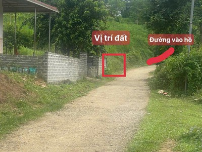 Đất đẹp - giá tốt - chính chủ bán đất tại thôn đồng thóc, thạch quảng, thạch thành, thanh hoá. 4