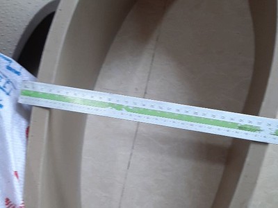 Băng tải máy ép cá, băng tải cao su máy ép thịt cá/ chả cá 3