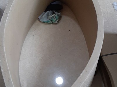 Băng tải máy ép cá, băng tải cao su máy ép thịt cá/ chả cá 2
