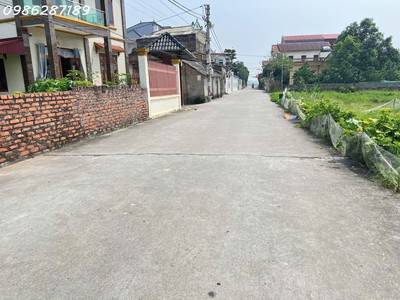  bùng nổ quỳnh bội   16 lô đất đẹp nhất vừa xuất hiện   chạm là  bay    2