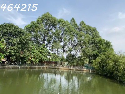 Mặt tiền 1,4ha giá chỉ 17 triệu/m2   hiếm có khó tìm   gọi ngay kẻo lỡ 2