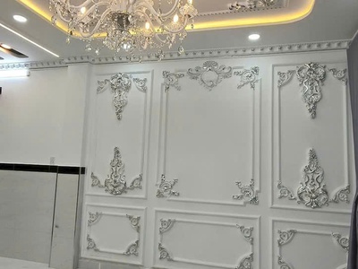 Nhà đẹp sang trọng 1 lầu 4mx12m gần chợ đông thạnh hóc môn 2