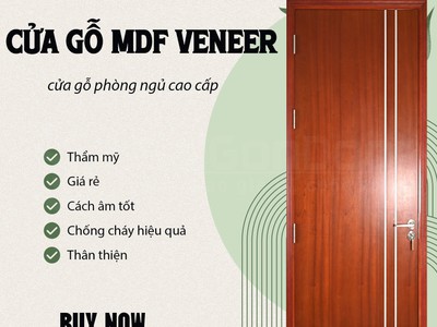 Cửa gỗ công nghiệp MDF Veneer 2