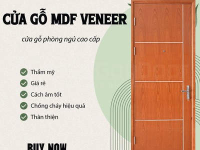 Cửa gỗ công nghiệp MDF Veneer 3