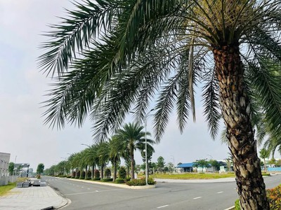 Nền ngang 5m vị trí kinh doanh thuận tiện-cách sân bay Long Thành 5km-sổ sẵn giá 10tr/m2 5