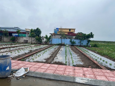 Đất nền quất lâm 1.7 tỷ   100m  gần chợ đêm, thích hợp đầu tư homestay   nguyễn hùng bđs - 3