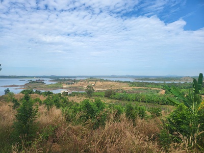 Bán đất view trực diện hồ sông ray - xuy ên mộc - brvt, 12497m2 sổ đỏ, giá chỉ 37.4 tỷ - sinh lời 1