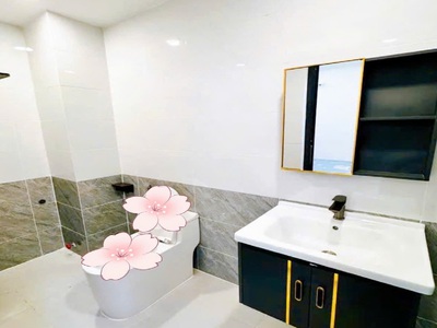 Bán nhà quận 5, hẻm xe hơi nguyễn trãi, sổ vuông 3.3 x 13 m, 4 tầng, giá 10.6 tỷ 3