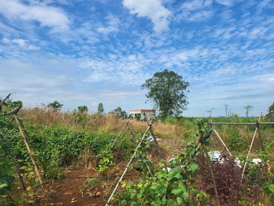 Bán đất view trực diện hồ sông ray - xuy ên mộc - brvt, 12497m2 sổ đỏ, giá chỉ 37.4 tỷ - sinh lời 2