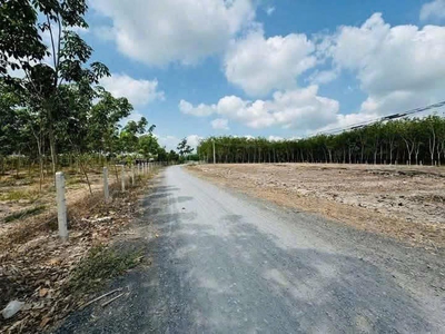  đất 5x37m, thổ cư 100m    giá chỉ 480 triệu 0