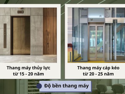 Thang máy thủy lực và cáp kéo: Đâu là lựa chọn thông minh cho nhà ở 2
