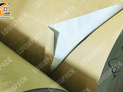 Manh PP ghép Kraft  manh KP  quấn thép 1
