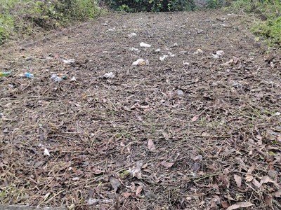 Bán đất cách đường võ nguyên giáp chỉ 200m diên toàn - diên khánh - khánh hòa 1
