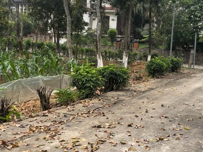 Bán 152 mét đất thổ cư tại xóm muỗi, xã yên bài. 0