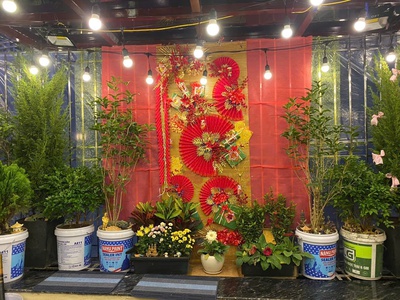 Bán nhà phố vũ tông phan- thanh xuan, 54 m2, 5tầng, mt 4,2 m, giá 15,8 tỷ. 4