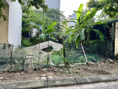 Đất TĐC Đông Dư, Bát Tràng: 60m2 mặt đường rộng, tiện ích đầy đủ, an cư/văn phòng/ đều hợp lý 2